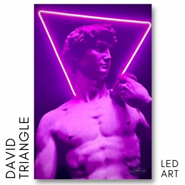 Quadro David led art | LEDMansion®